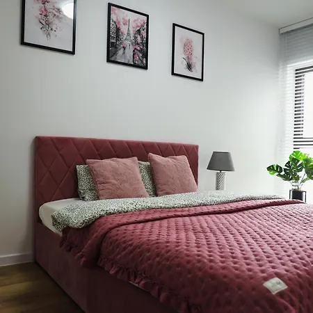 Apartman Platinum Trzebiatowska *